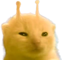 ylorp emote