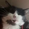 OreoSmilers emote