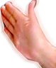 catch emote