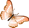 orange_butterfly emote