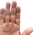 Halt emote
