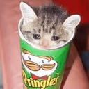 pringlcat emote