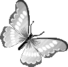 grey_butterfly emote