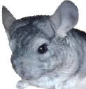 SuperGaston2 emote