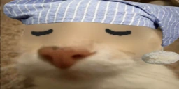 otagSleepy emote