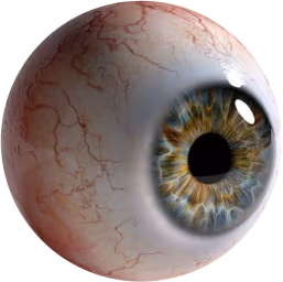 eye_ball emote