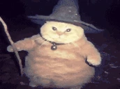 fatasswizardcaststeleportation emoji