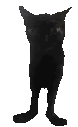 JinxBounce emote