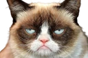 grumpycat emote