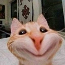 cat_hihi emote