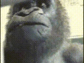 oliver emote