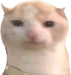 chubby emote