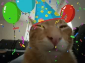 happyBUHrday emote