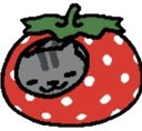 cat_strawberry emote