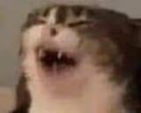 SNEEZE emote
