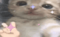 qqSparkle animated emote
