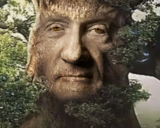 wiseMike static emote