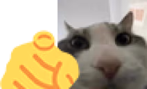 AREYOUWIRES emote