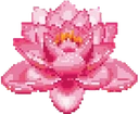 lotus_flower emote