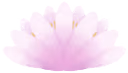 lotus_flower emote