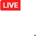 yayDigi emote