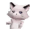 catJAM emote