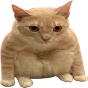 catSit emote
