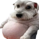 chud emoji