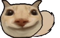 otaga emote