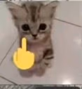 frickyou emote