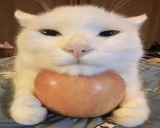 apyl emote