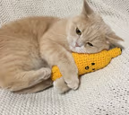 bananuszek emote