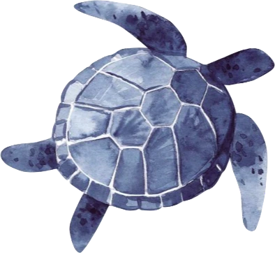blueturtle emote