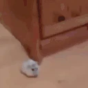 NYOOM emoji