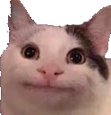 CatStare emote