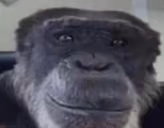 fredrick emote