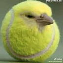 TENIS emote