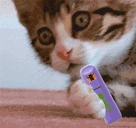 vaping emote
