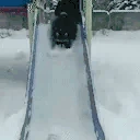 raccSlide emote