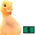 BANCOESTADOCTM emote