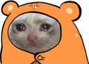 CE_Sad emote