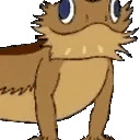 dragonJam emote
