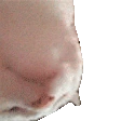 CatJamUpsideDown emoji
