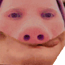 PorkTasty animated emote