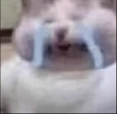 Cry emote