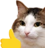 kiisu_thumbsup emote