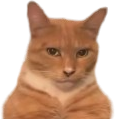 MEWING static emote
