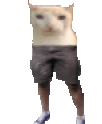 catOU emote