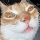 ErmDying emote