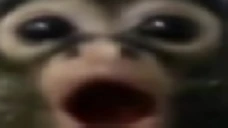 00 emote
